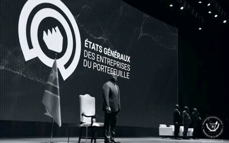 RDC : Tshisekedi lance les états généraux du Portefeuille