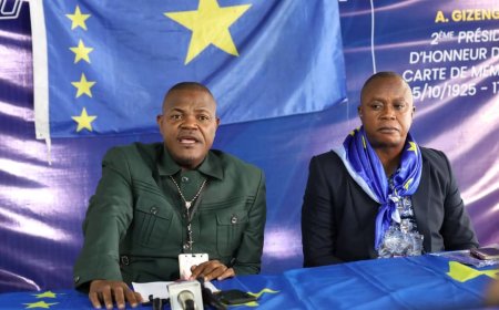 RDC : le Palu dit « oui » à la réflexion sur la révision de la constitution proposée par Félix Tshisekedi 