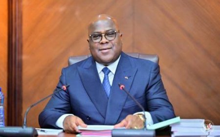 Félix Tshisekedi nomme Jean de Dieu Ntanga à la coordination du P-DDRC