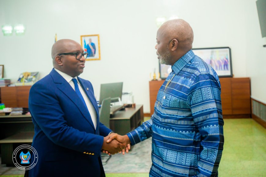 RDC : les deux chambres du parlement en congrès extraordinaire ce vendredi 20 décembre pour désigner un juge de la Cour constitutionnelle