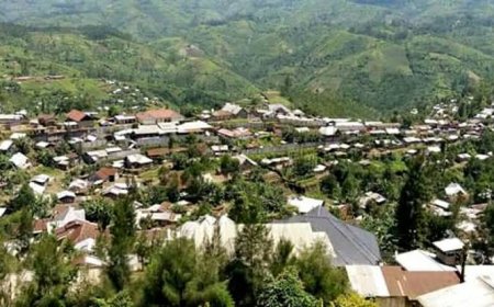 Urgent : Masisi-centre passe sous le contrôle du M23