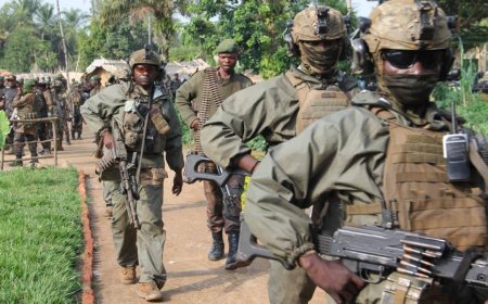 Guerre dans l’Est : les FARDC repoussent l’avancée du M23 à Sake 