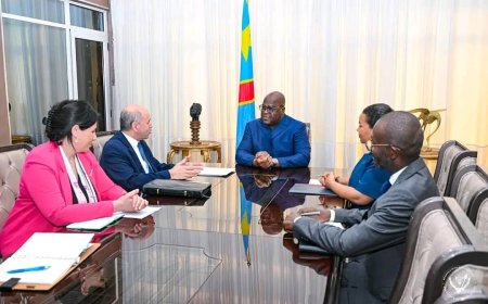 La RDC et l’Algérie réactivent la haute commission de coopération dans les domaines énergétique, agricole et économique