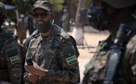 Guerre dans l'Est de la RDC : l'UE exhorte le Rwanda à arrêter tout soutien au M23