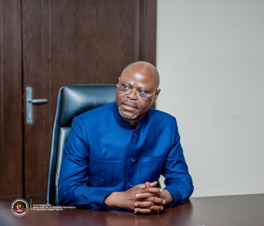 Guerre dans l’Est : la LUCHA exige la présence du VPM de la Défense et du chef d'état-major général pour coordonner les opérations des FARDC