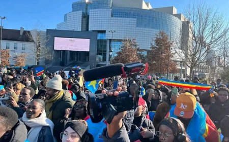 Guerre dans l'Est : la diaspora de Paris et de Bruxelles en sit-in pour dénoncer le silence de la communauté internationale