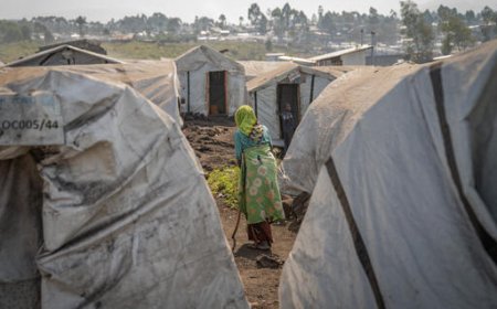 Le Cedaw rendra public le 21 février prochain des observations sur les violences sexuelles liées aux conflits dans la partie Est de la RDC