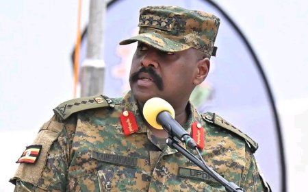 RDC : « Bunia sera bientôt aux mains de l'UPDF » [chef de forces armées ougandaises et fils de Museveni]