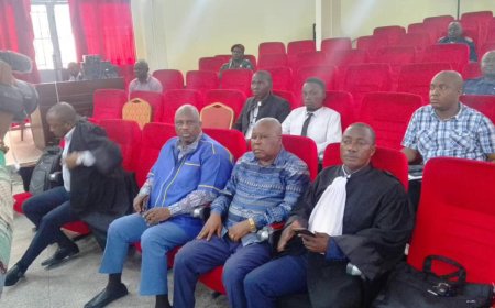 Affaires forages et lampadaires : François Rubota condamné, son colistier Mike Kasenga acquitté par la justice congolaise