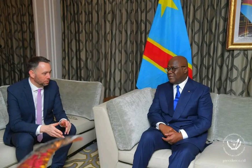 La Belgique aux côtés de la RDC contre l'agression rwandaise 