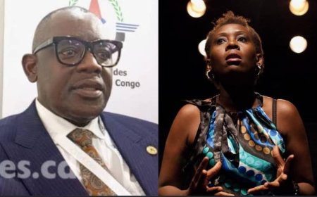 Ministère de l’Industrie : sabotant la vision du chef de l’Etat Félix Tshisekedi sur l’émergence de la classe moyenne, Louis Watum nomme une actrice de théâtre à la tête du Conseil d’Administration de l’APROCEM (communication)