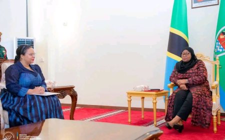 RDC - Tanzanie : Thérèse Kayikwamba porteuse d’un message de Tshisekedi Suluhu Hassan