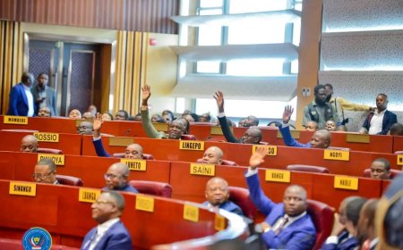 RDC : le Sénat déclare recevable 2 propositions de lois portant respectivement sur la protection des femmes victimes de violence et la stabilité des milieux ruraux