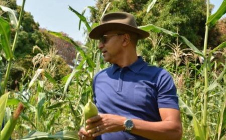 RDC : des militaires signalés à la ferme Futuka de Moise Katumbi 