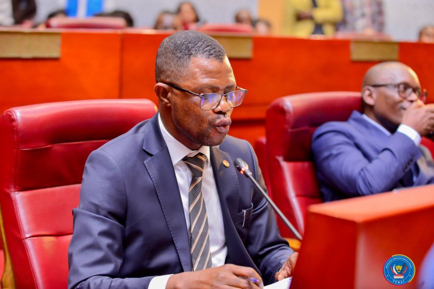 RDC/Gestion des fonds alloués à l'effort de guerre : le sénateur Anicet Babanga adresse une question orale avec débat au VPM de la Défense