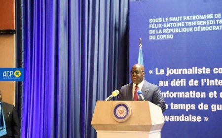 Partenariat RDC-USA : « jamais je ne braderai les richesses de la République Démocratique du Congo », Félix Tshisekedi 