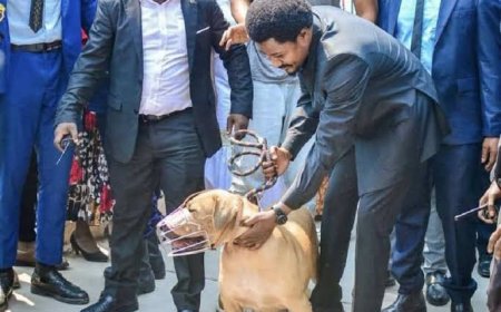 RDC : Mutamba rattrapé par l'odeur du détournement  qu'il dénonçait hier encore