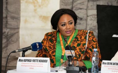 Félix Tshisekedi nomme Yvette Ngandu Kapinga au poste d’ambassadeur de la RDC aux États-Unis d’Amérique