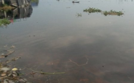 Équateur : naufrage de trois embarcations motorisées sur le lac Tumba avec plus de 250 passagers à bord, 32 corps déjà repêchés