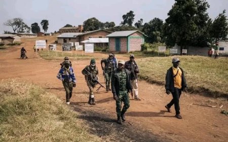 RDC : la Monsuco salue la signature de l'accord de cessation des hostilités en Ituri et appelle les groupes armés non signataires à rejoindre la dynamique