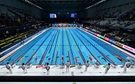 Championnats du Monde de Natation 2025 : les nageurs congolais sont fixés