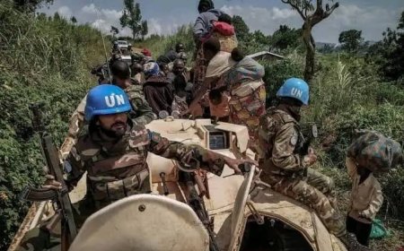 RDC : la Monsuco condamne fermement les attaques des ADF à Beni et Lubero