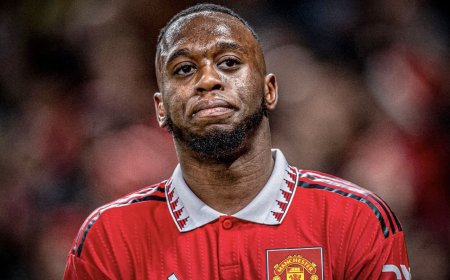 Football : Aaron Wan-Bissaka est officiellement Léopard 