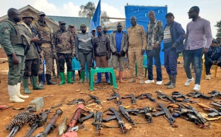 Ituri : reddition de plus de 70 combattants de la milice Zaïre-CRP  de Thomas Lubanga