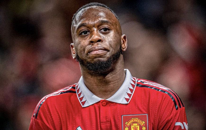 Football : Aaron Wan-Bissaka est officiellement Léopard 