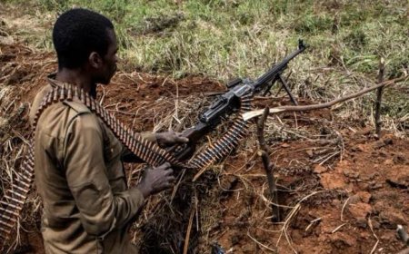 Guerre dans l’Est : les Wazalendo lancent des attaques coordonnées contre le M23 près de Mpety (Nord-Kivu)