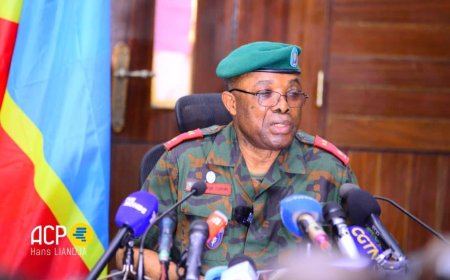 RDC : Les FARDC appellent les militaires enrôlés de force par le M23 à revenir « tourner les canons contre l’ennemi »