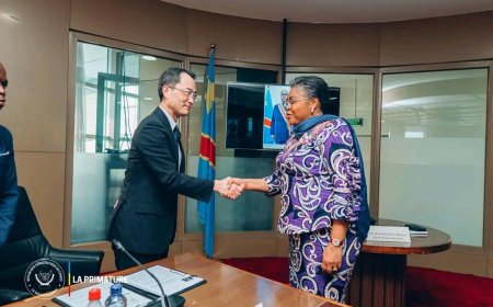 RDC – Japon : Le Grand Inga au cœur du partenariat stratégique