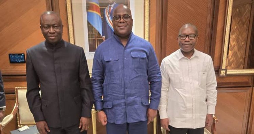 UDPS : Tshisekedi maintient Kabuya au poste de SG, Bizibu devient adjoint en attendant le congrès