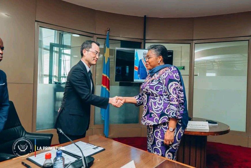 RDC – Japon : Le Grand Inga au cœur du partenariat stratégique