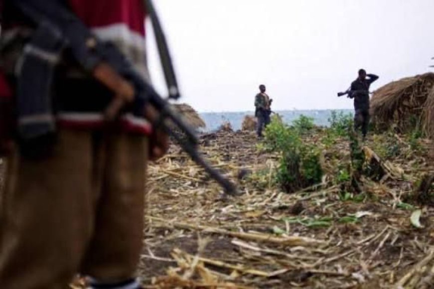 Walikale : les Wazalendo accusés de terroriser la population à Waloa Uroba