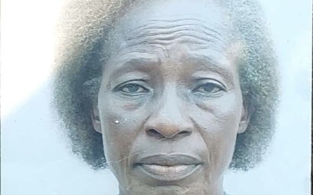 [Tribune] : « Le Gouvernement Suminwa II : espoir envolé », (Ernestine Elum)