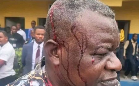 Kongo Central : la plénière sur la pétition contre les membres du Bureau de l’Assemblée provinciale tourne à la bagarre générale