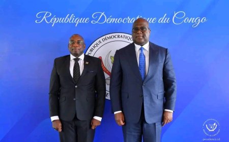 RDC : Cinq nouveaux ambassadeurs présentent leurs lettres de créance au Président Félix Tshisekedi