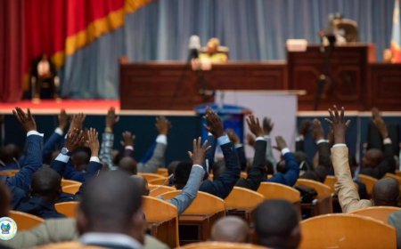 Assemblée nationale : 12 candidats de l’Union sacrée de la Nation en lice pour succéder à Vital Kamerhe