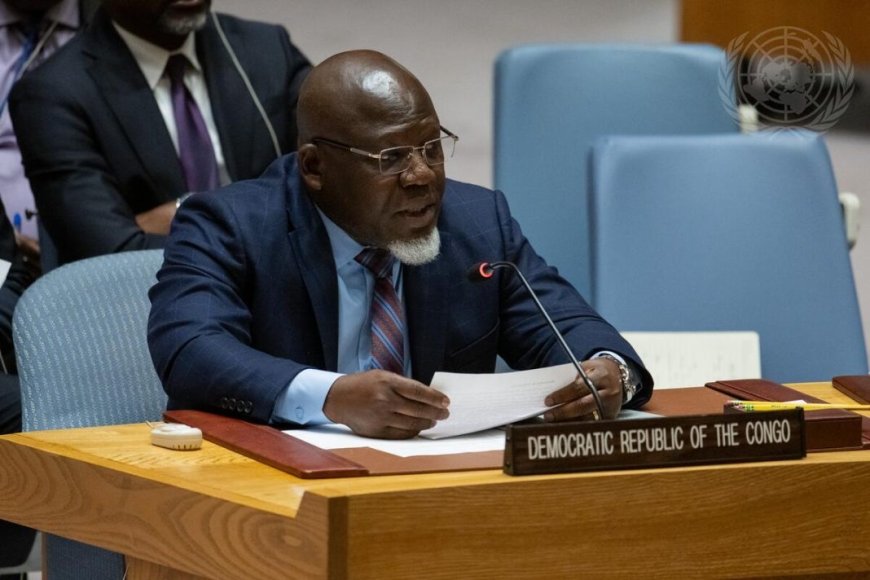 Conseil de sécurité : la RDC réclame la reconnaissance du génocide congolais