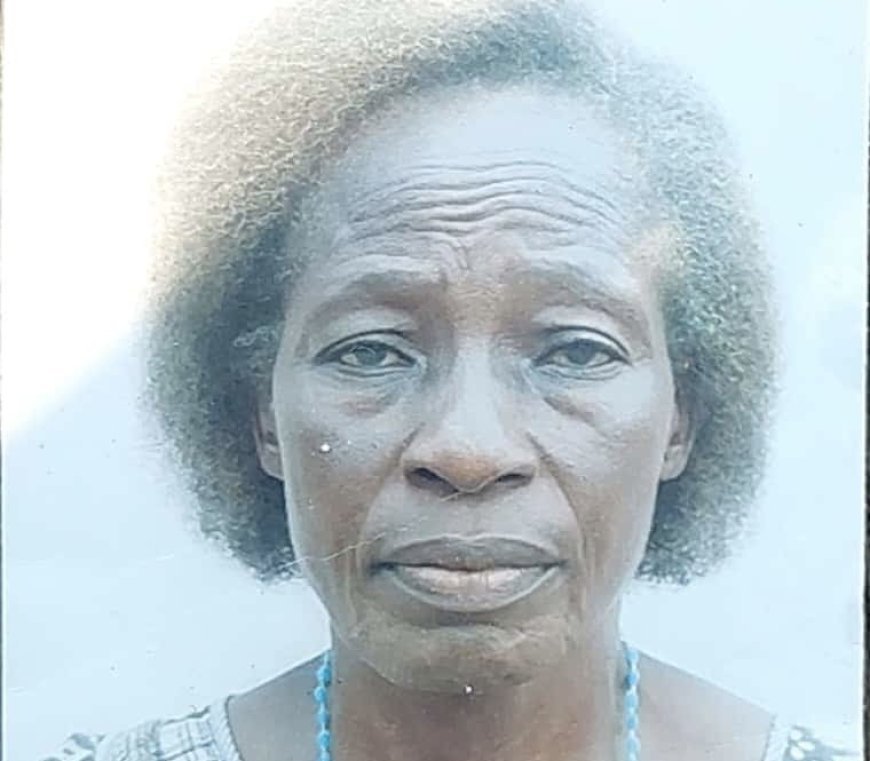 [Tribune] : « Le Gouvernement Suminwa II : espoir envolé », (Ernestine Elum)