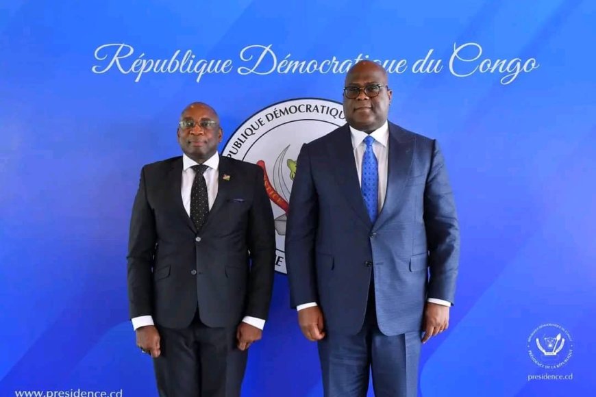 RDC : Cinq nouveaux ambassadeurs présentent leurs lettres de créance au Président Félix Tshisekedi