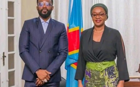 RDC : près d’un million de dollars envisagés par le gouvernement pour soutenir le concert de Fally Ipupa au Stade de France