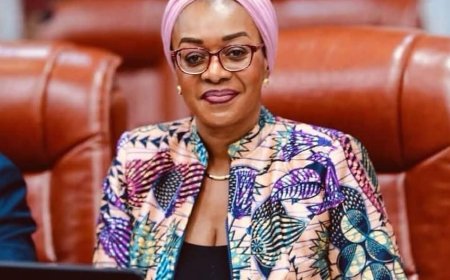 RDC : le ministère de la Culture dément tout financement du concert de Fally Ipupa au Stade de France