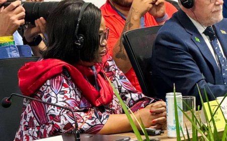 COP30 : Marie Nyange dénonce un « génocide écologique » dans l’Est de la RDC