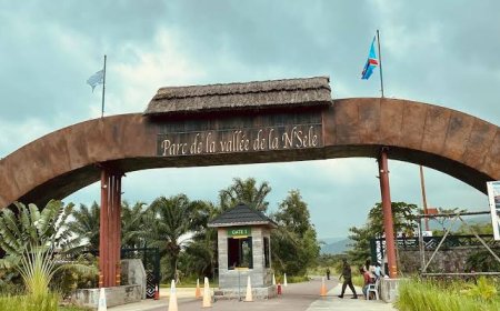 Kinshasa : le Parc de la Vallée de la N’Sele momentanément fermé suite à la présence des miliciens Mobondo à Kingakati et environs
