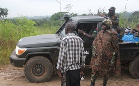 Kinshasa : 9 miliciens Mobondo tués et 60 capturés à Kingakati