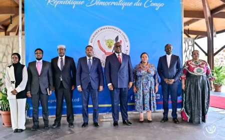 RDC : Félix Tshisekedi reçoit les lettres de créance de quatre nouveaux ambassadeurs non-résidents