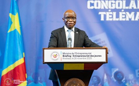 RDC : le gouvernement envisage d’introduire le cours d’entrepreneuriat dans la formation de base