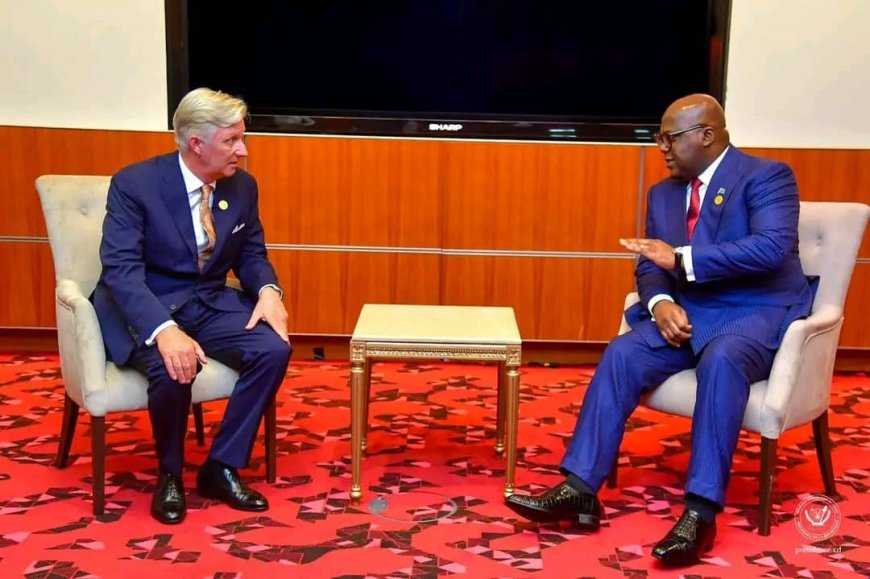 À Doha, Félix Tshisekedi et le Roi des Belges évoquent le « Couloir vert Kivu-Kinshasa »